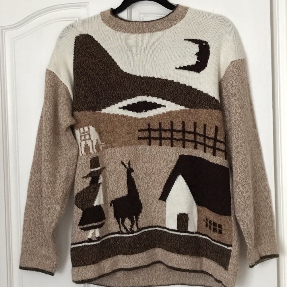 Wool Sweater (EUC)